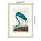 Custom Pl 431 American Flamingo I by John James Audubon Wood Framed Wall Art Print